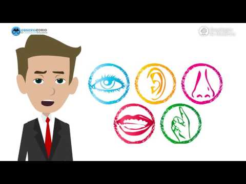 Consejos para usar el storytelling en clase