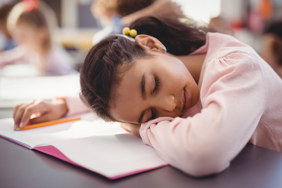 Sostiene estudio que las siestas mejoran el aprendizaje