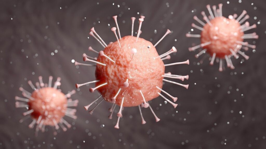 Virus del covid-19 coronavirus
