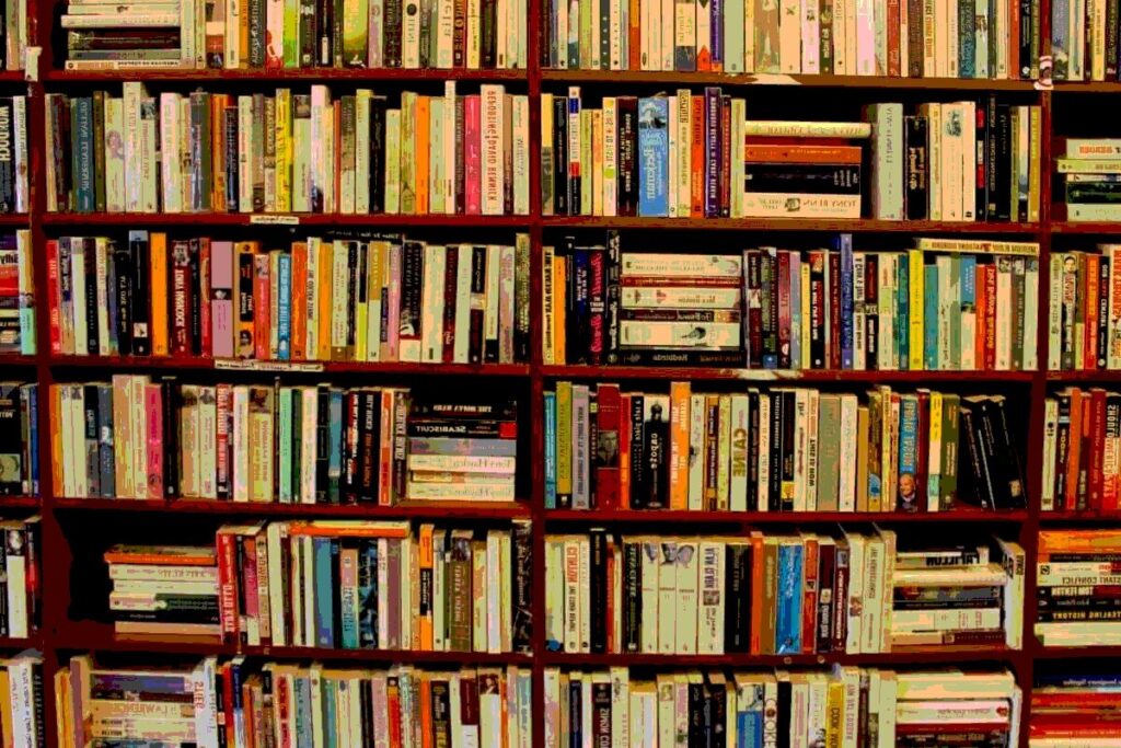 Librero repleto de libros variados