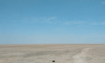 FOMO y miedo al vacío