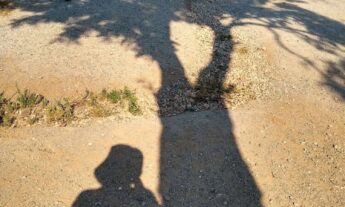 Sobre la idea de la escuela y la oficina expandidas