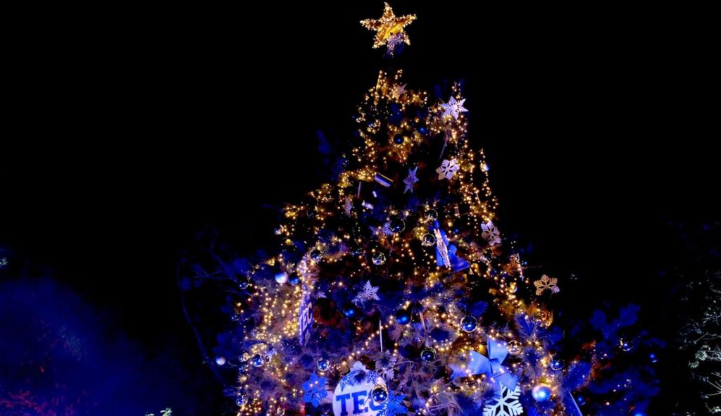 diciembre 2023 pino de navidad Tec de Monterrey