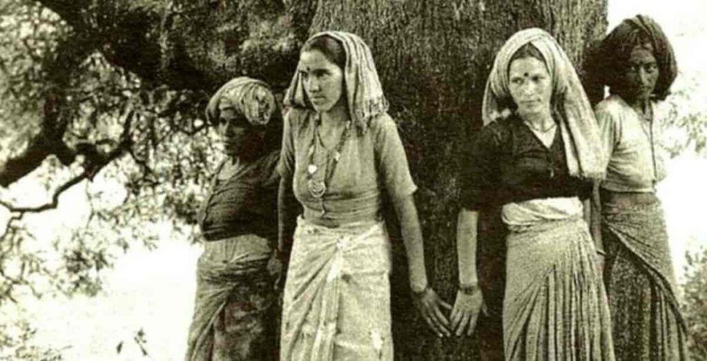 Ecofeminismo