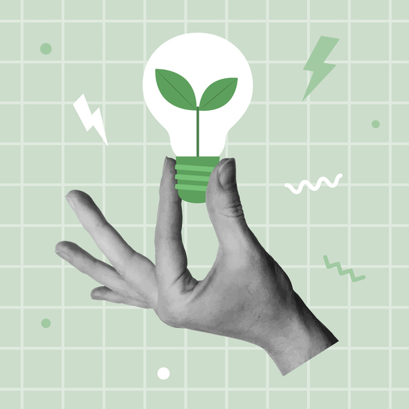 Habilidades verdes para un futuro sostenible