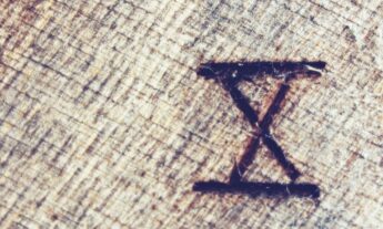 Opinión | Ántropo-ego-centrismo