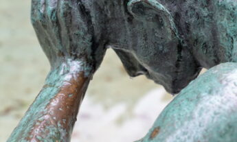 Opinión | Enseñar a pensar (¿Docente o experto programador?)