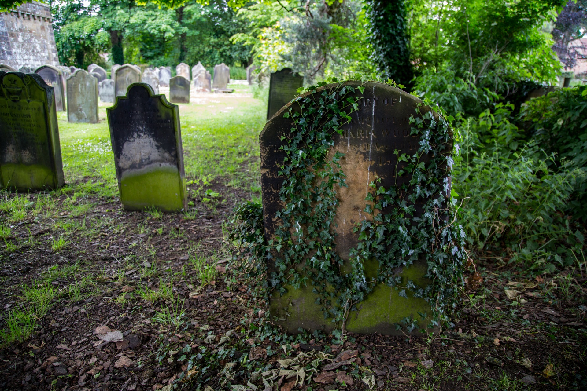 Opinión | Andrea (una pedagogía para la muerte)