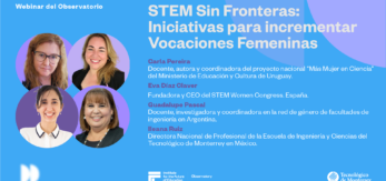 Webinar del Observatorio IFE