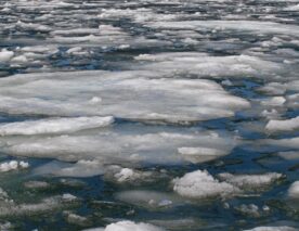 Opinión | Frente a la guerra: educación en el dolor y el peligro