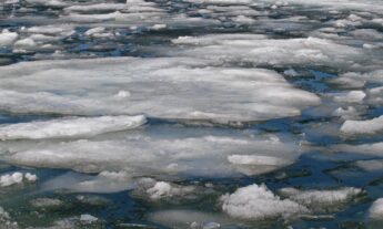 Opinión | Frente a la guerra: educación en el dolor y el peligro