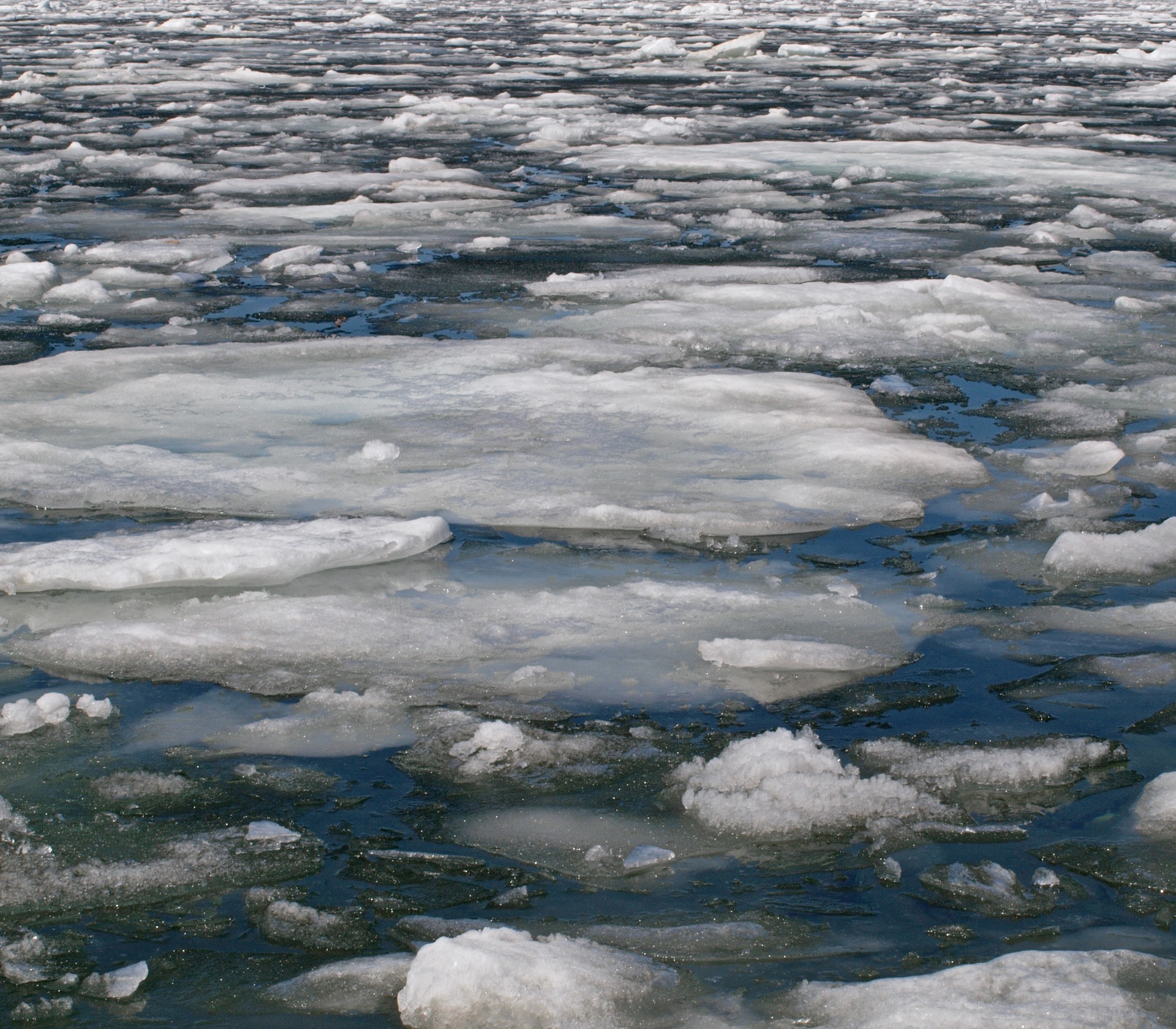 Opinión | Frente a la guerra: educación en el dolor y el peligro