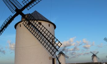 Opinión |  Morir cuerdo y vivir loco